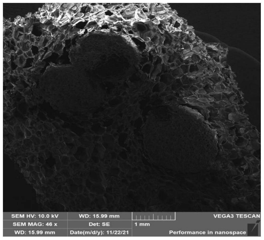 一種改性可發(fā)性聚苯乙烯顆粒、制備方法及其應(yīng)用