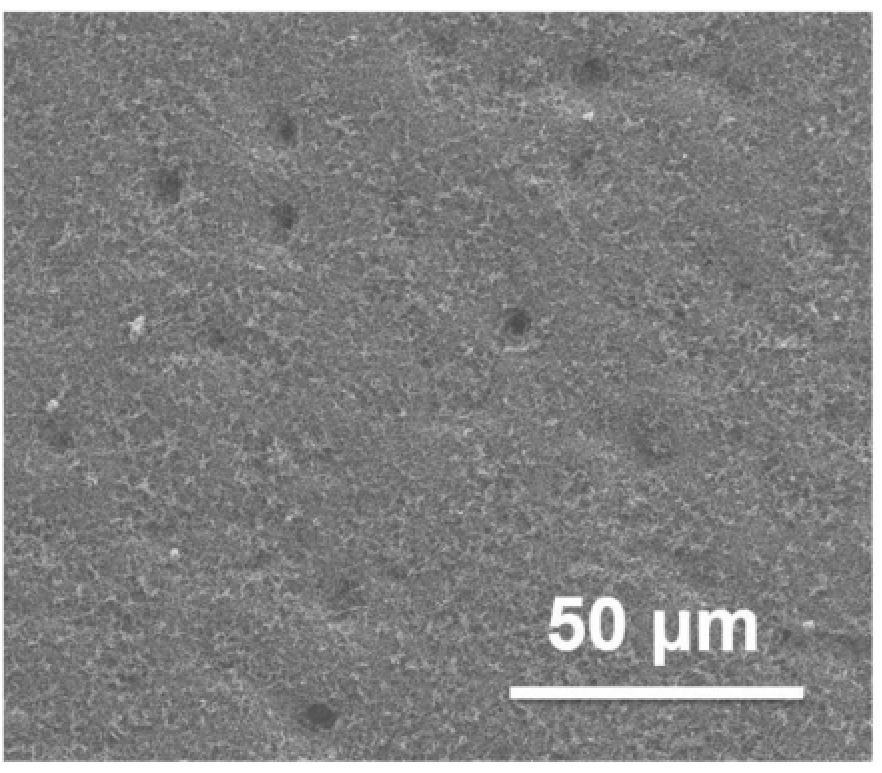 一種具有超疏水纖毛結(jié)構(gòu)的復(fù)合涂層、防水垢涂覆制品及其制備方法