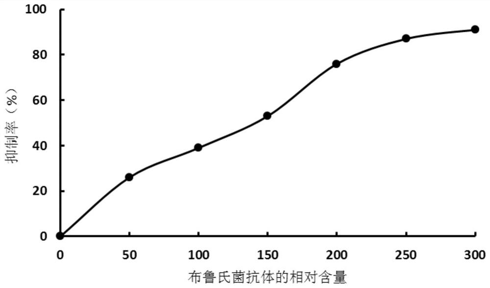 布魯氏菌單鏈抗體及其用途