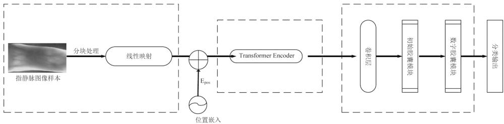 指靜脈識別模型訓(xùn)練方法及識別方法、系統(tǒng)和終端