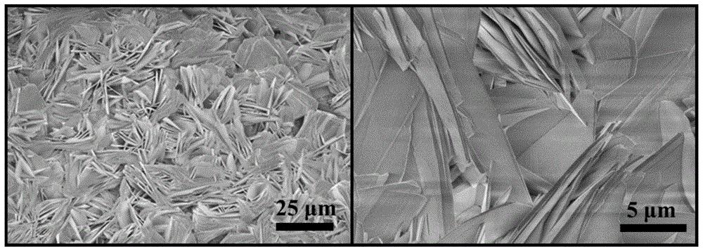 一種二維鎳鈷雙金屬MOFs納米片及其在葡萄糖檢測中應用