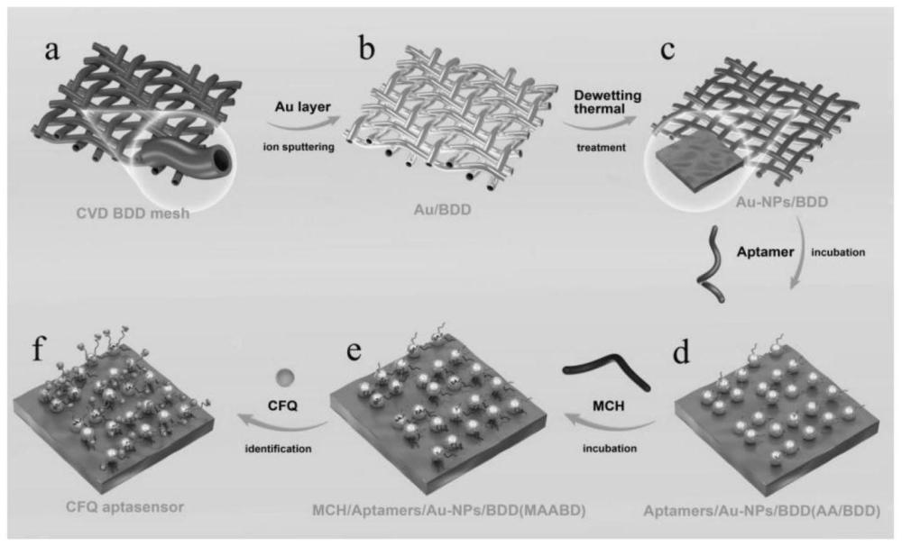 一種用于檢測(cè)頭孢喹諾的適配體傳感器的制備方法