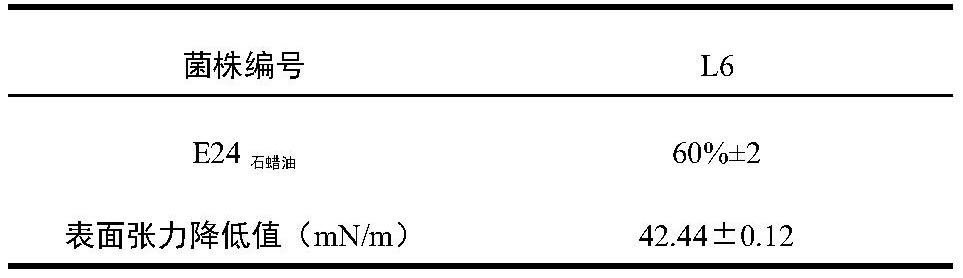 一株銅綠假單胞菌及其應(yīng)用