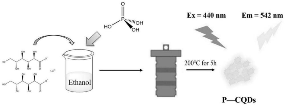 一種以葡萄糖酸鈣為原料制備磷摻雜碳量子點的方法及其在六價鉻離子檢測中的應(yīng)用