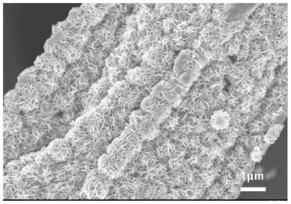一種兼具優(yōu)異機(jī)械性能的碳纖維基太陽(yáng)能光熱高效轉(zhuǎn)化材料及其制備方法和應(yīng)用