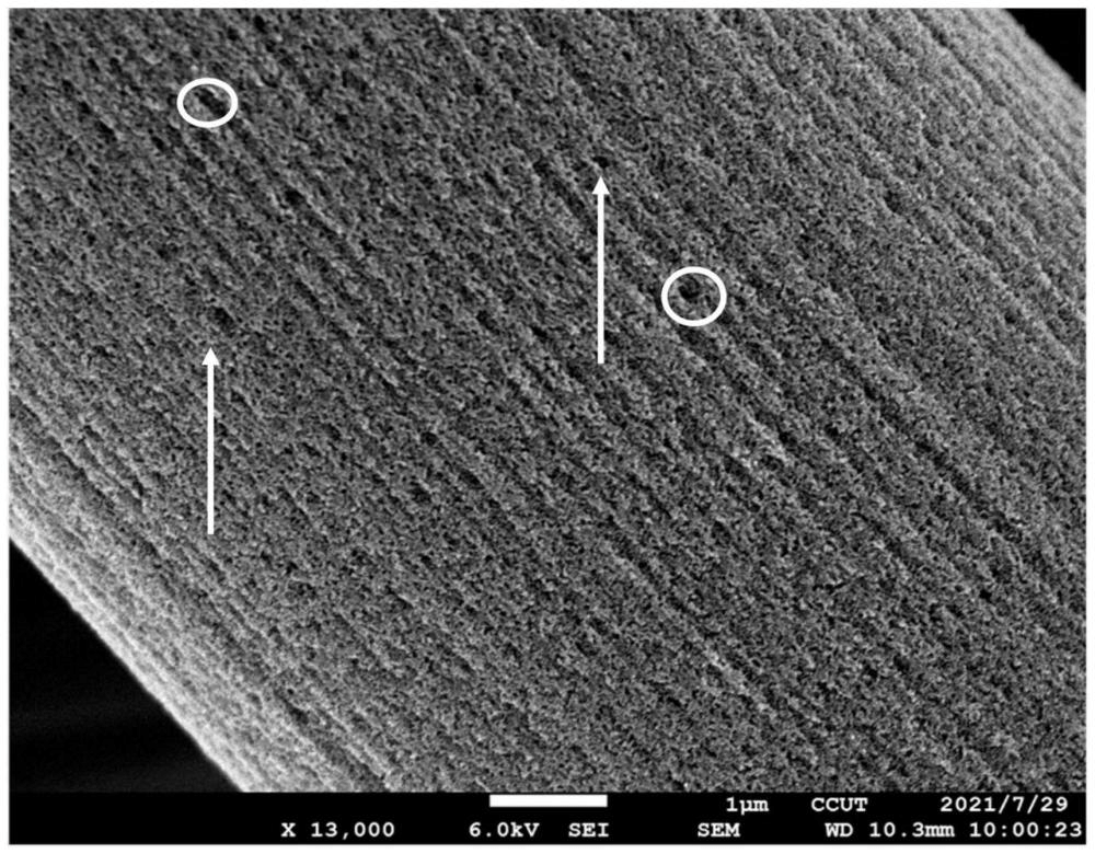 一種氮摻雜多孔碳纖維及其制備方法、炭紙及其應(yīng)用