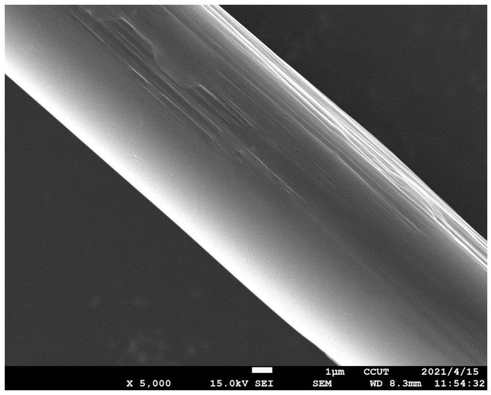 水性環(huán)氧改性柚皮苷、碳纖維上漿劑和上漿碳纖維及制備方法