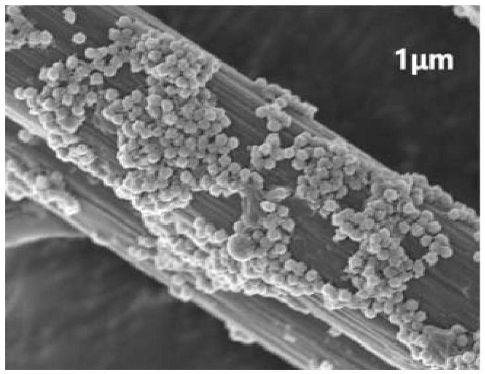 一種氧化石墨烯/聚苯胺中空微球剛?cè)峤Y(jié)構(gòu)改性碳纖維、制備方法及其復合材料