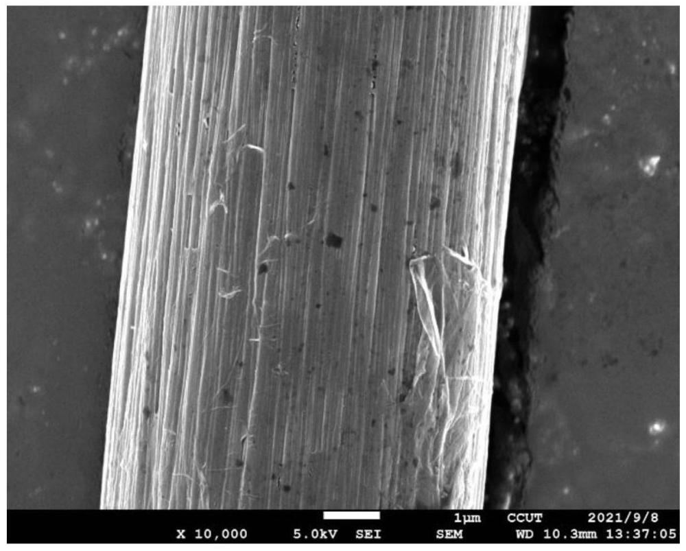 一種改性碳纖維及其制備方法和應(yīng)用以及改性碳纖維環(huán)氧樹(shù)脂復(fù)合材料