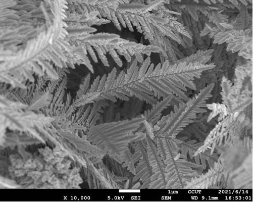 一種可以實(shí)現(xiàn)高效光熱轉(zhuǎn)換的針葉狀鎳黑膜