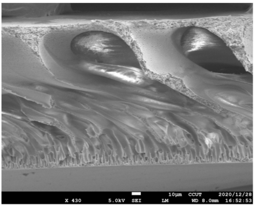 一種純天然綠茶提取物茶多酚作為添加劑的聚醚砜超濾膜及其制備方法