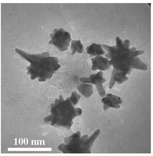 萬古霉素修飾的二硫化鉬/金納米針復合材料及其制備方法