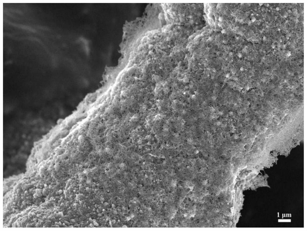 一種金屬銅/納米碳多尺度增強體修飾的碳纖維復合材料及其制備方法