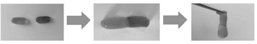 一種PVA海藻酸鈉雙網絡耐寒導電水凝膠及其制備方法