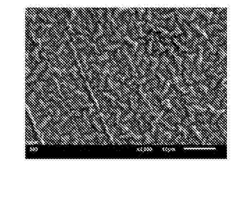 一種聚甲基丙烯酸甲酯導(dǎo)電凝膠的制備方法